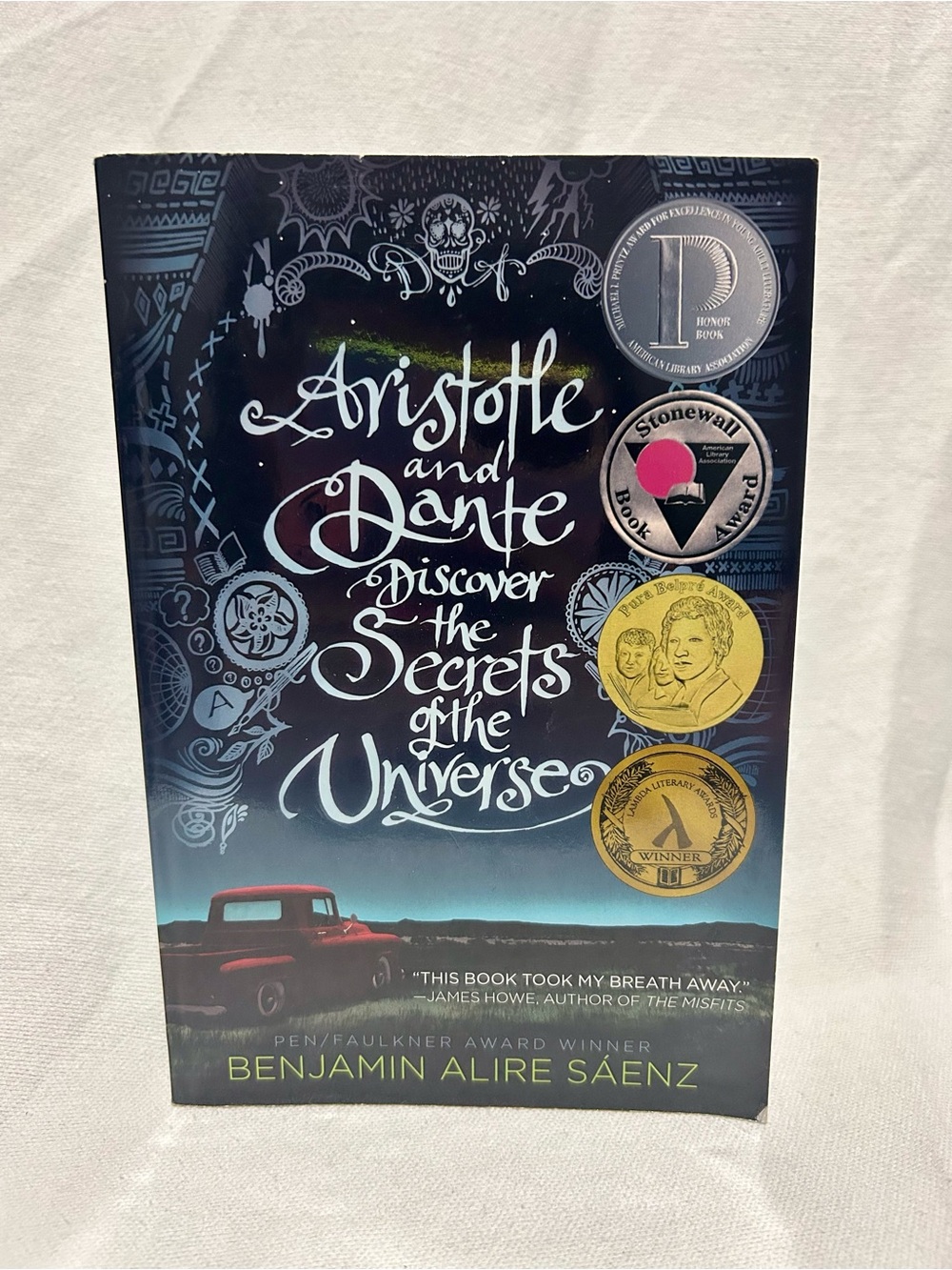 Aristotle and Dante Discover the Secrets of the Universe LGBTQ2IA+ YA Book